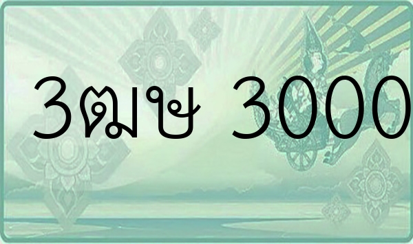 3ฒษ 3000